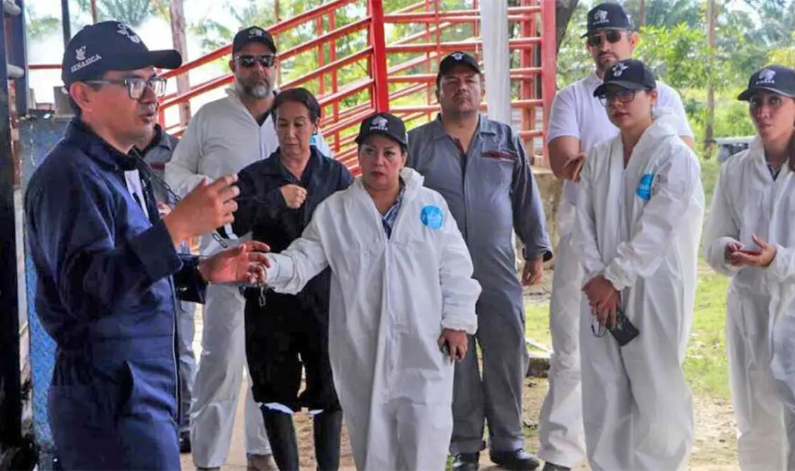 La información va dirigida a veterinarios que trabajan en clínicas, unidades de producción o farmacias veterinarias. Cortesía