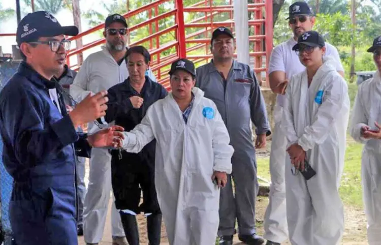 Realizan capacitación contra gusano barrenador