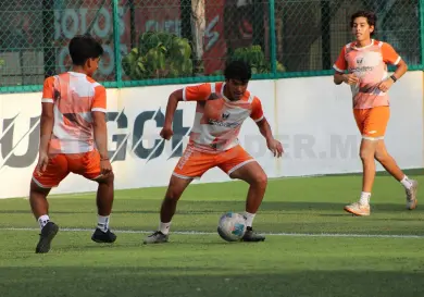 Plantel de Lechuzas, en preparación