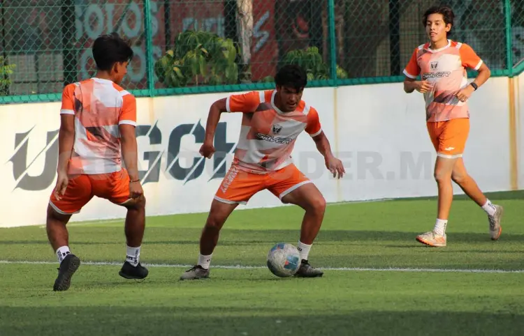 Plantel de Lechuzas, en preparación