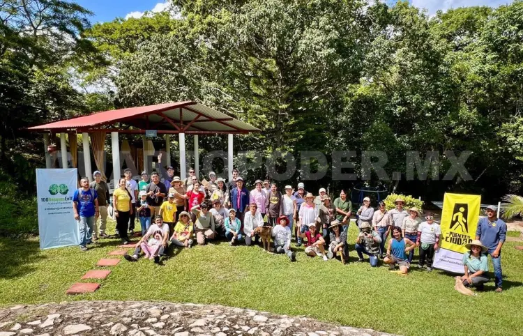 Invitan a reforestación y donación de árboles