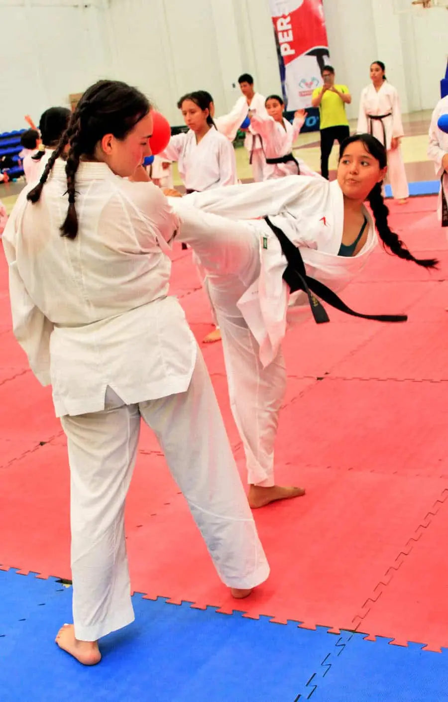Atletas de Chiapas, Tabasco y Campeche compartieron tatami durante tres días de preparación intensiva rumbo a la Olimpiada Nacional Juvenil. Cortesía