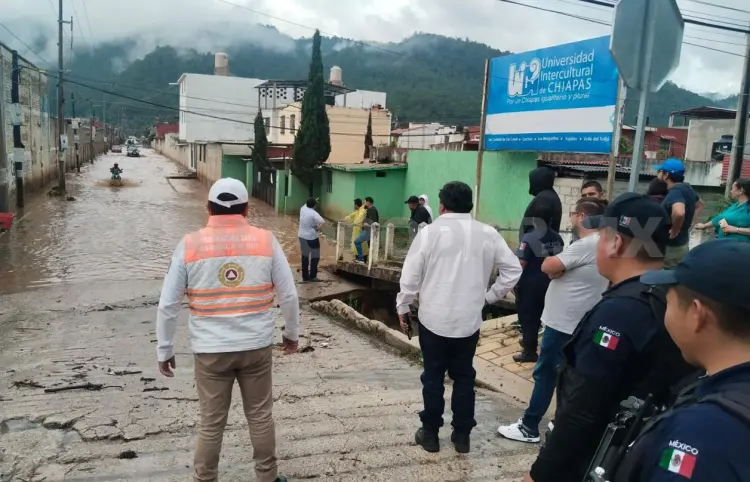 Deforestación, la causa principal de inundaciones