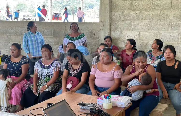 Encabezan nuevos modelos sostenibles