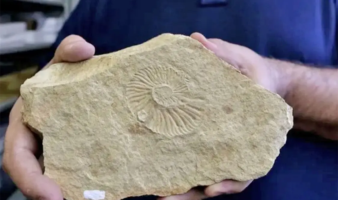 Las zonas Sur, Sierra de Quila, Chapala y Metropolitana son ricas en yacimientos fósiles. Cortesía