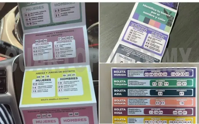Tribunal Electoral prohíbe exhibición de acordeones en elección judicial