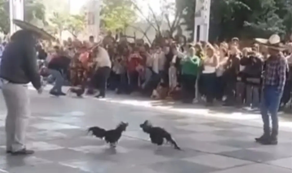 La publicación generó muchas reacciones. Cortesía