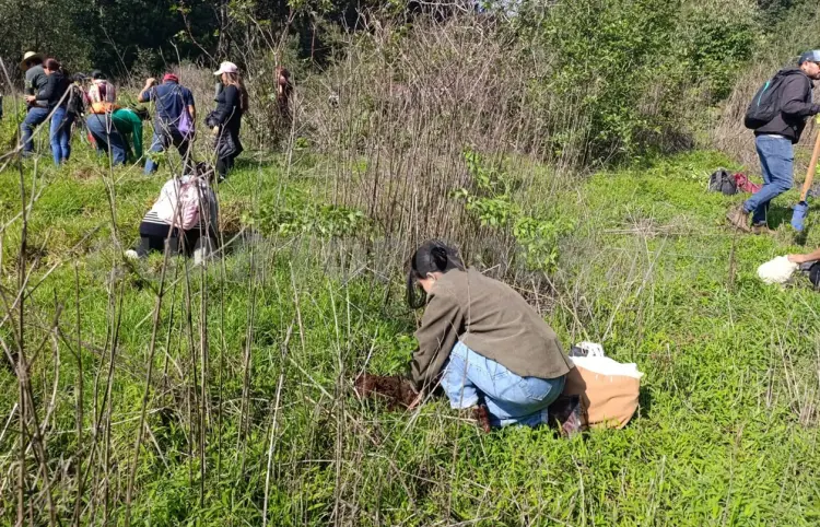 Inicia octava campaña de reforestación