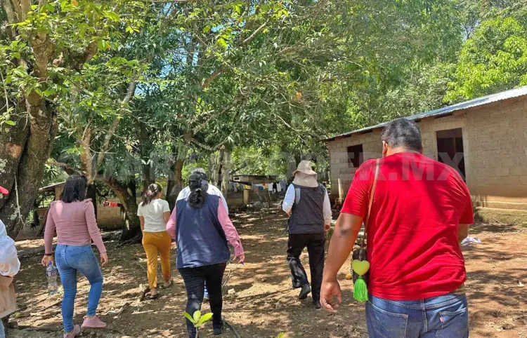 Ocho casos de miasis de GBG en humanos