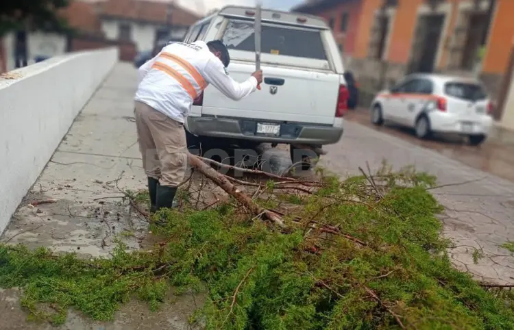 Se reportan múltiples afectaciones por lluvia