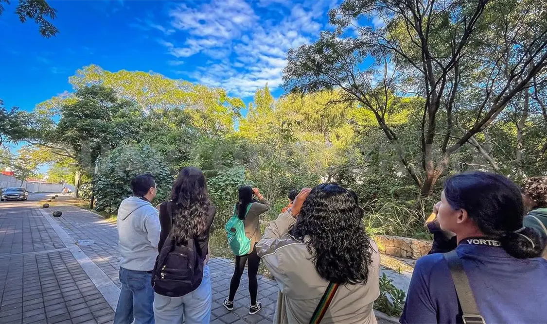 Imagen del arbolado y su integración con el entorno. Cortesía