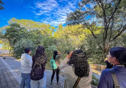 13 % de las aves de México habitan en Joyyo Mayu