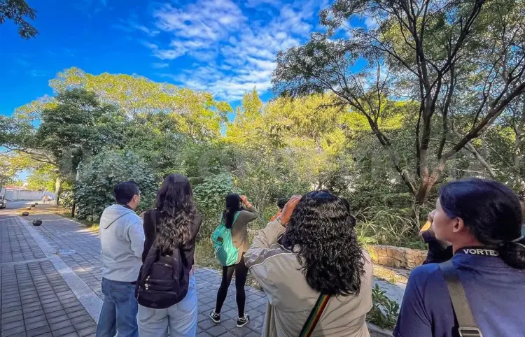 13 % de las aves de México habitan en Joyyo Mayu
