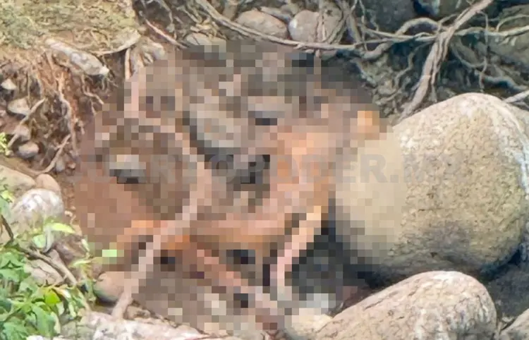 Hallan osamenta en el río Coatán