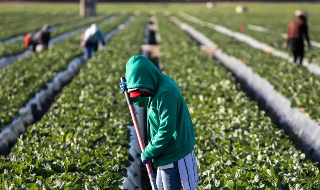 El Gobierno mexicano no apoya a los migrantes en la Unión Americana, consideró el diputado Federico Döring. Cortesía