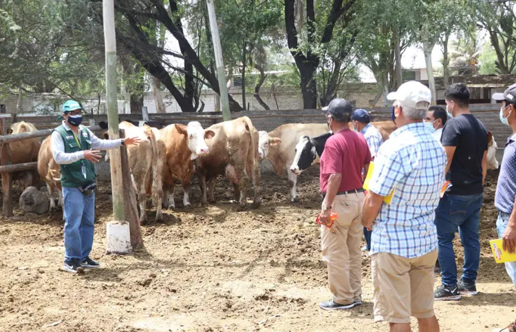 Capacitan a ganaderos para prevenir plagas