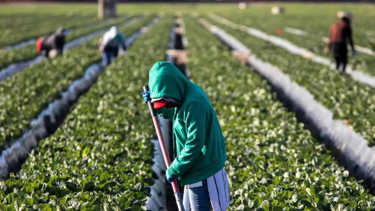 Exigen que comitiva en EEUU. negocie eliminar impuesto