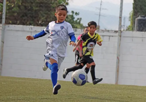 Reconocen a lo mejor de la Liga Tux 7