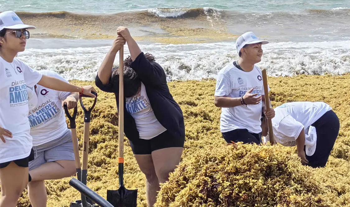 El banderazo de inicio de este programa comenzará en Acapulco, Guerrero; Puerto Morelos, Q. Roo; Progreso, Yucatán; San Felipe, BC, y Puerto Vallarta, Jalisco. El Universal