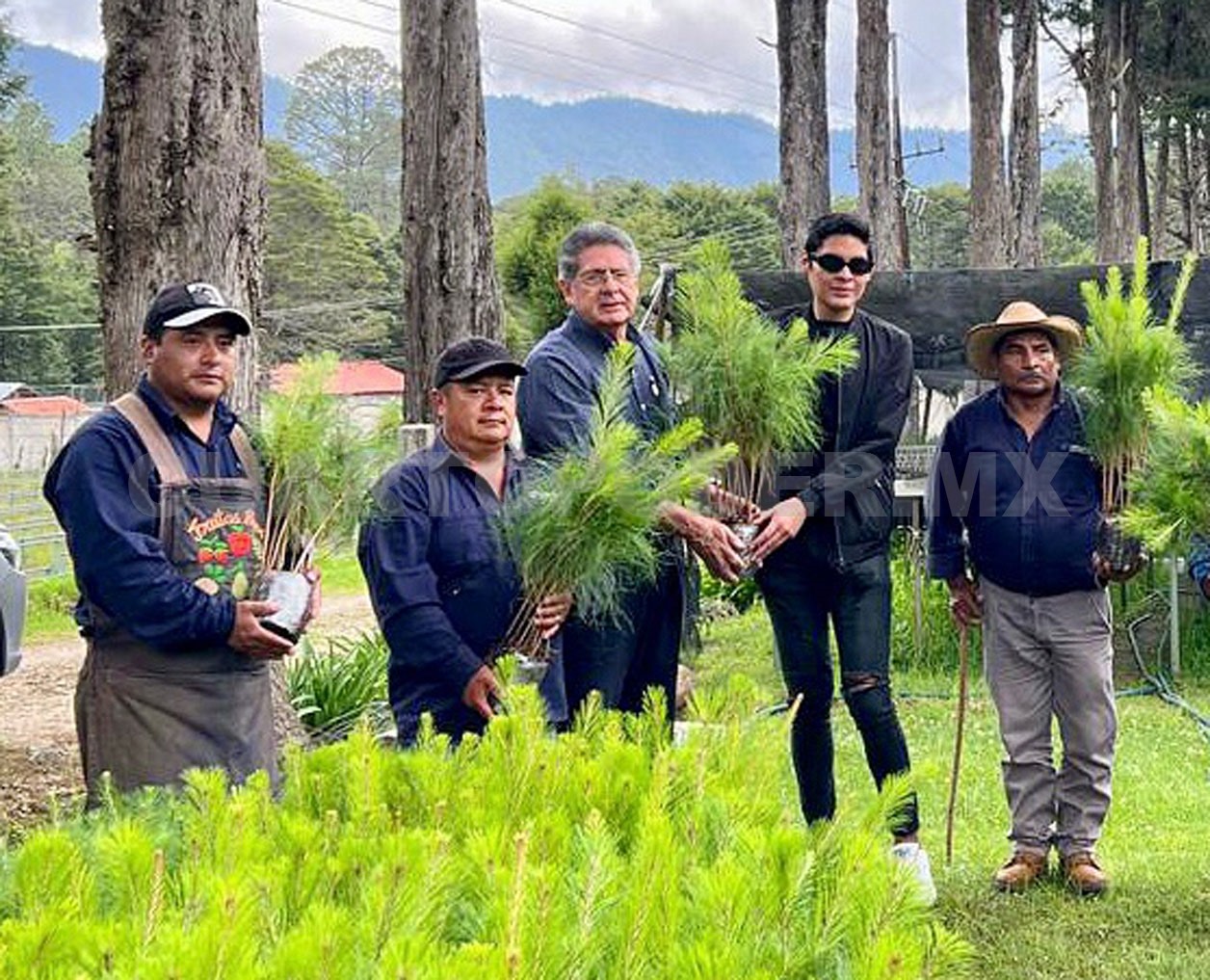 Entregan plantas para restaurar la cuenca del río Tiltepec
