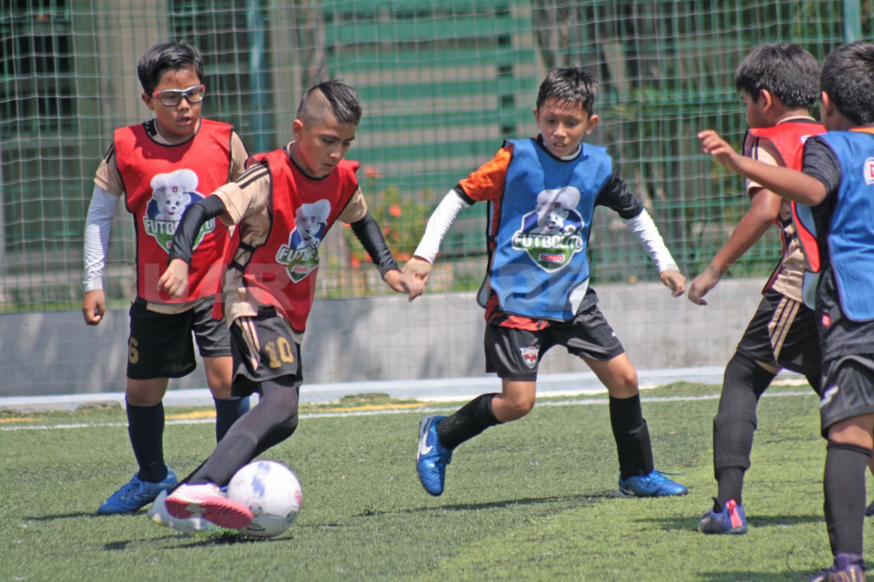 Cebech y Colegio Laureles son finalistas