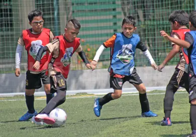 Cebech y Colegio Laureles son finalistas