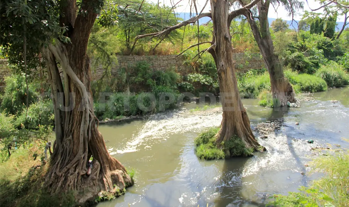 En la zona persiste el abandono del Sabinal, situación que tiene parcialmente bloqueado el río. Diego Pérez / CP