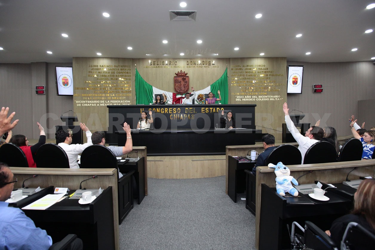 Piden intensificar programas de reforestación  en municipios