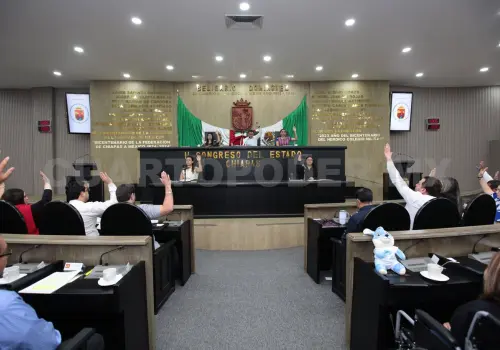 Piden intensificar programas de reforestación  en municipios