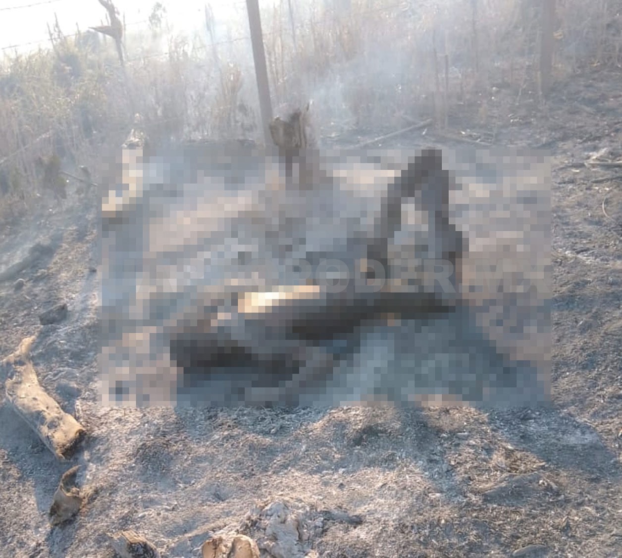Hallan a adulto mayor calcinado entre la milpa