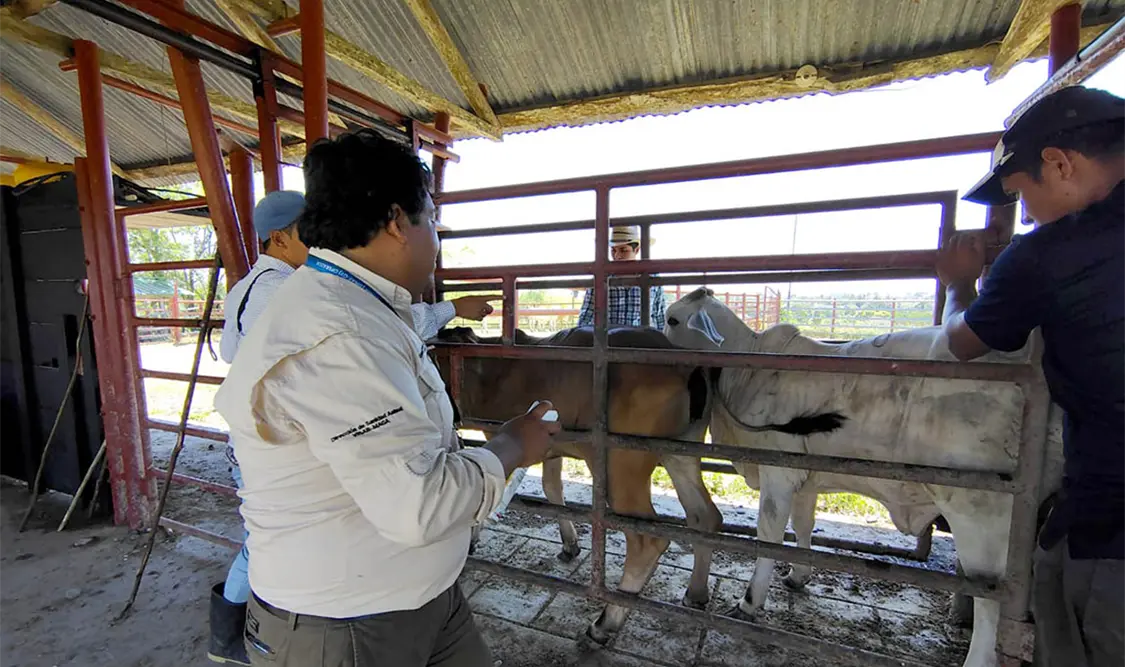 Capacitan a especialistas para controlar plaga