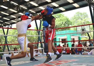 Anuncian Campeonato Verde y Oro