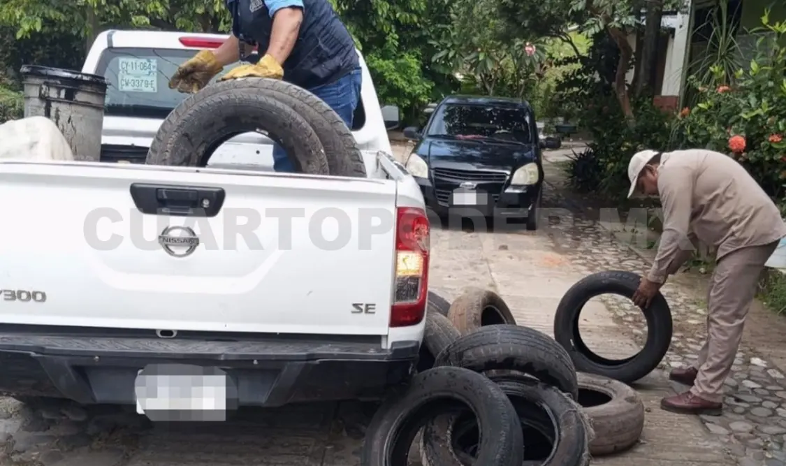 El dengue es un padecimiento que, en los casos más graves puede ser mortal. Cortesía