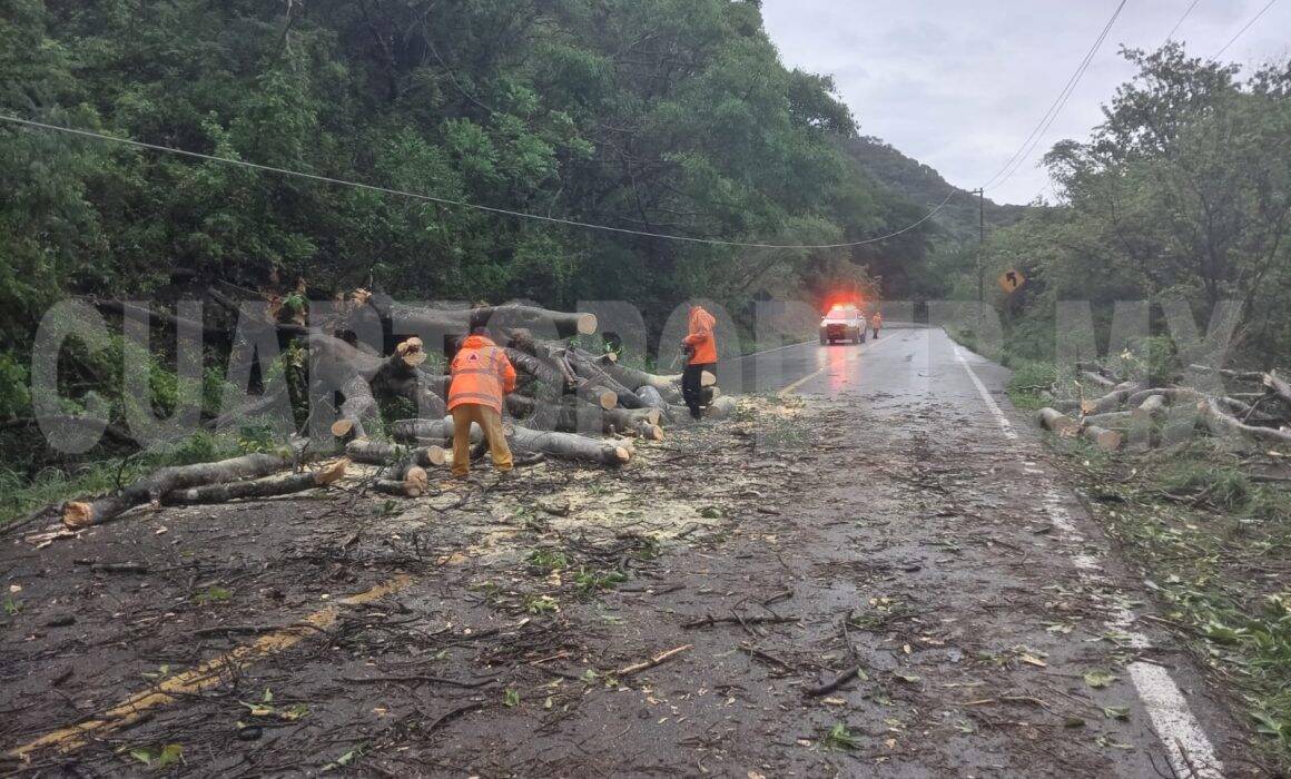 Tormenta tropical Dalila deja afectaciones