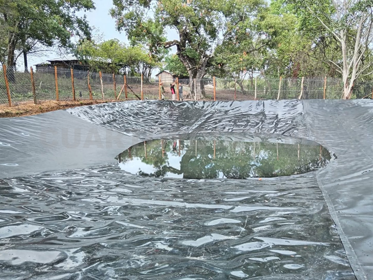 Nueva apuesta: la captación de agua