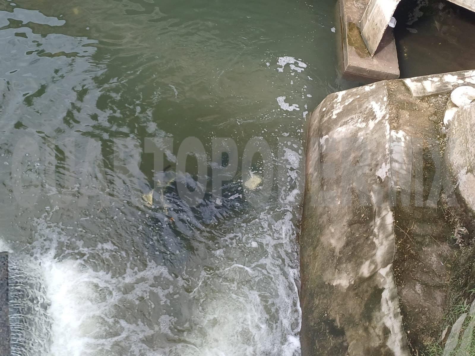 Fallece al caer a río con todo y motocicleta