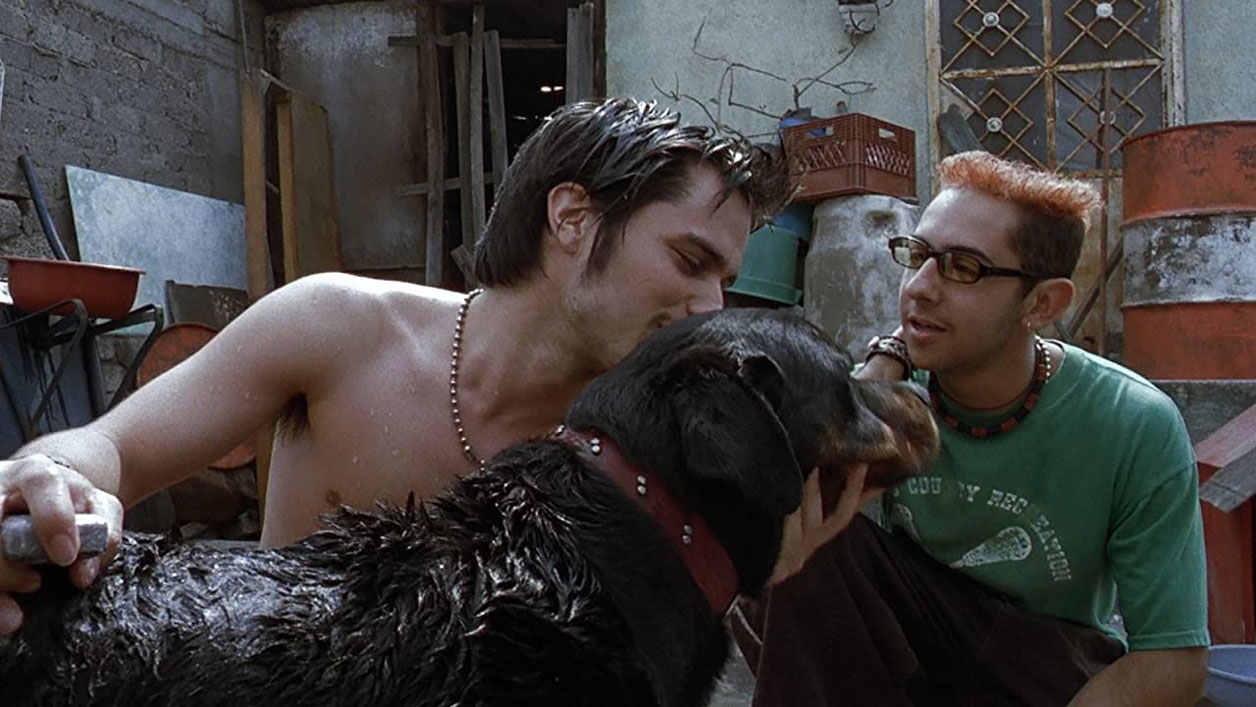Amores perros, 25 años después