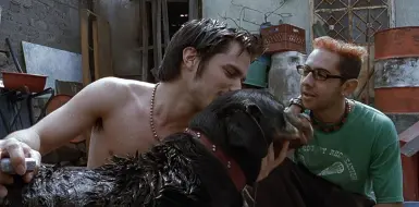 Amores perros, 25 años después