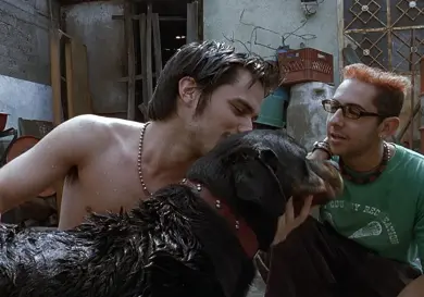 Amores perros, 25 años después