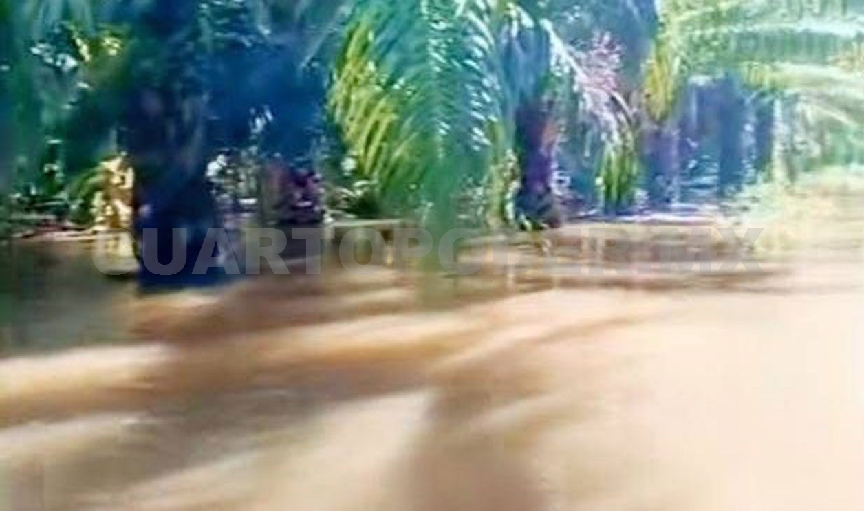 Lluvias inundan parcelas en Huixtla y Acapetahua
