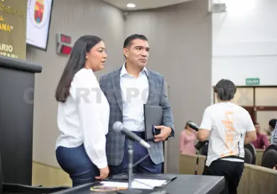 Analizan ley para proteger a animales de compañía