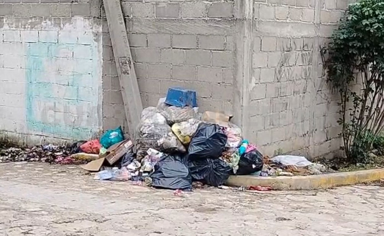 Denuncian falta de recolección de basura