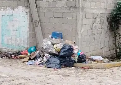Denuncian falta de recolección de basura