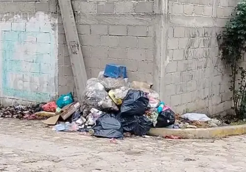 Denuncian falta de recolección de basura
