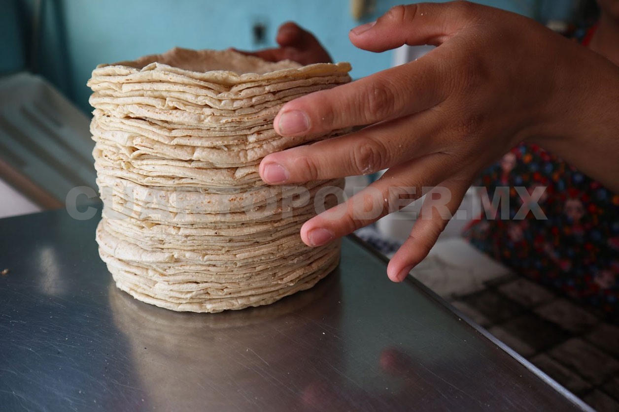 Aseguran que precio de la tortilla no subirá