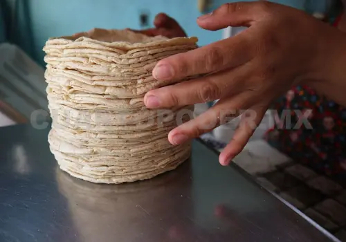 Aseguran que precio de la tortilla no subirá