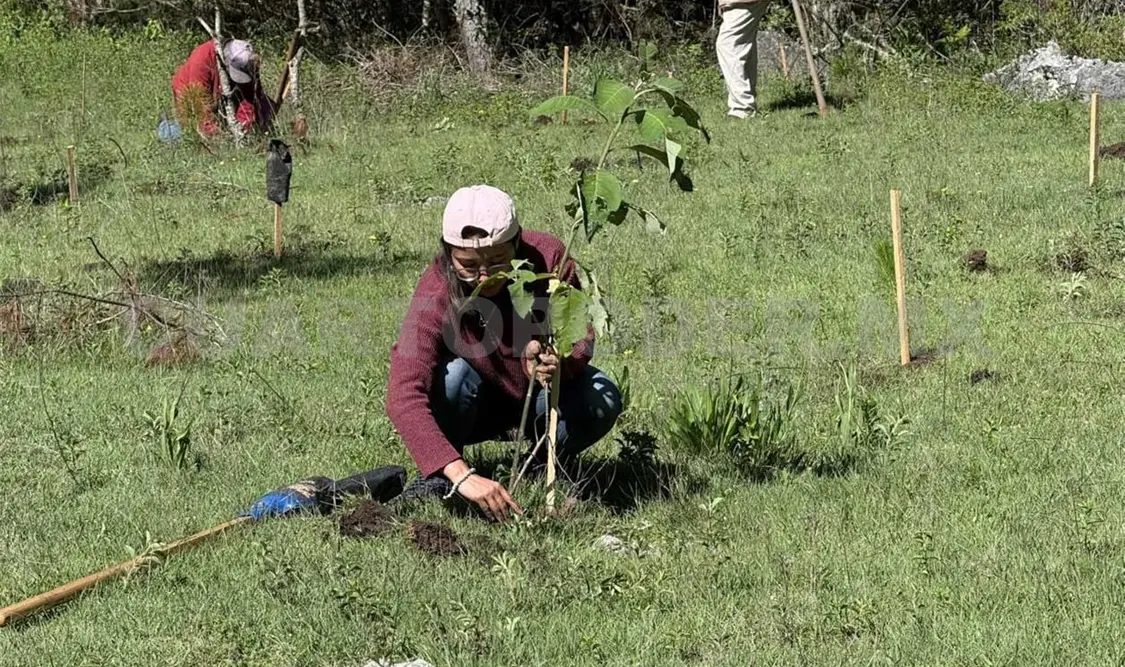 La actividad se realiza en coordinación con Tu Bosque A.C. y Tribu Publicidad. Manuel Martínez / CP