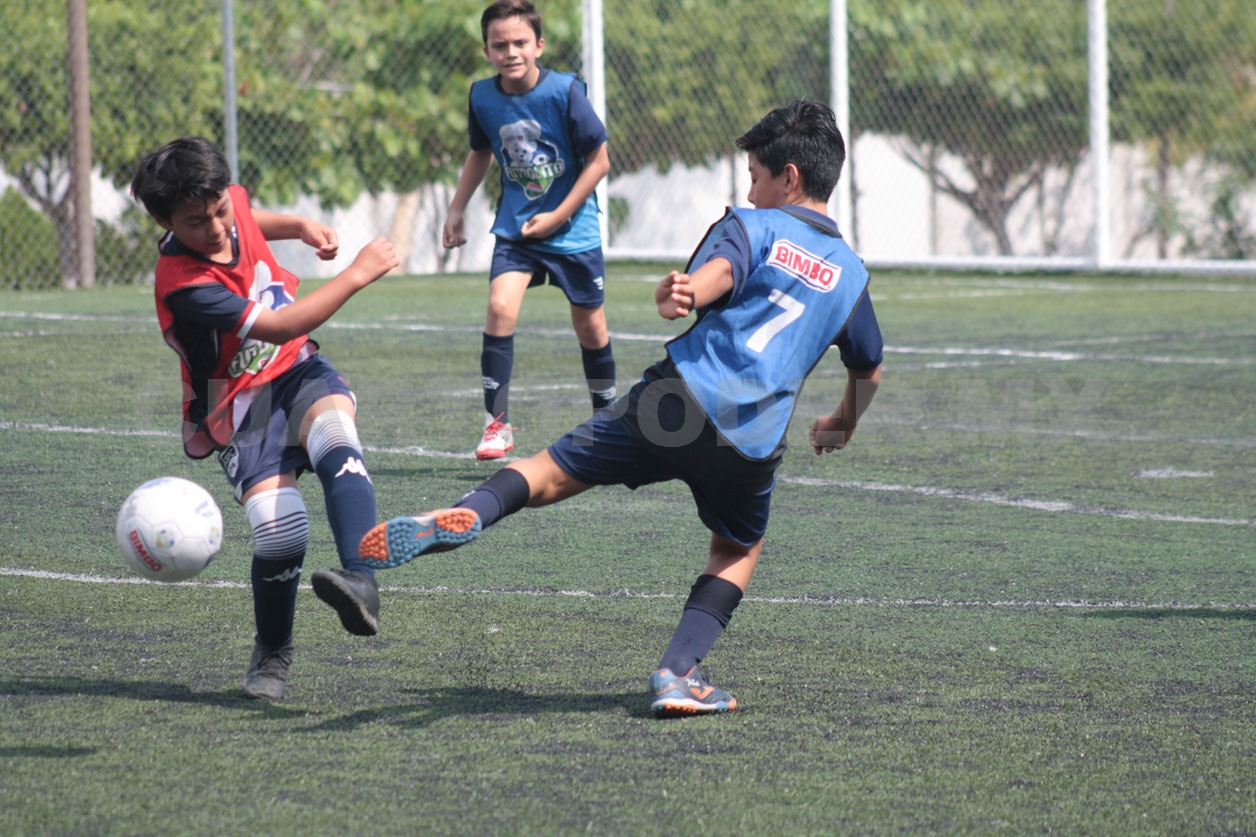 Arranca la fase estatal del Futbolito Bimbo