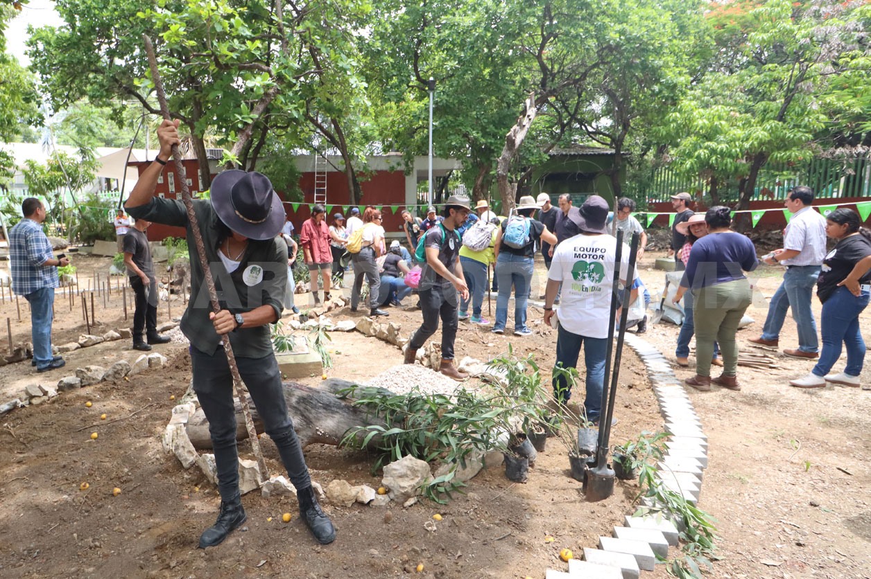 Festival de restauración, todo un éxito