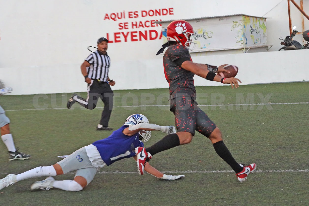 Osos rugen con fuerza en la OEFA Chiapas